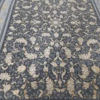 نگار افشان طوسی