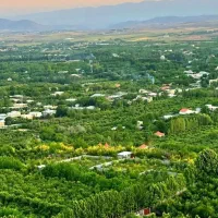 باغشهر دالین