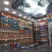 فروش روغن و تعویض روغنی دولتی