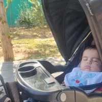 کالسکه دو نفره و دو قلو مقاوم مناسب اربعین