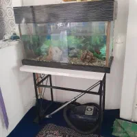 آکواریوم۱۵۰۰