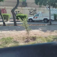 خانه-ویلایی