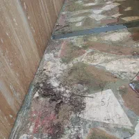 کار با کارواش|خدمات نظافت|سلمانشهر, |دیوار