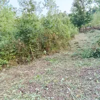 تراش زمین با گروه حرفه ای