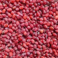 زرشک تازه/تحویل در افسریه/تسویه بعد از تحویل|خوردنی و آشامیدنی|تهران, قصر فیروزه ۲|دیوار
