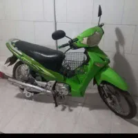 بیکلاج لیزر مدل 87 پلاک ملی