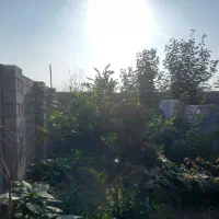 فروش فوری خونه ویلایی زیر قیمت|فروش خانه و ویلا|شفت, |دیوار