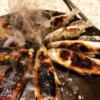 گاریز چاق ب شرط
