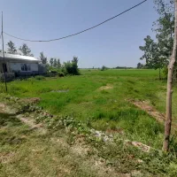 زمین ۳۰۰ متری  داخل طرح هادی طارمسر
