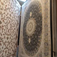 فرش 1200|فرش|رشت, خواهر امام|دیوار