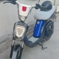 دندی سالم
