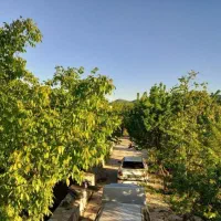 فروش و معاوضه خانه باغ دور زریبار