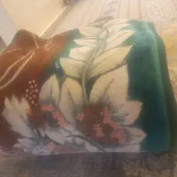 پتوگلبافت خارجی