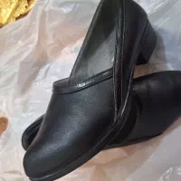 کفش چرم|کیف، کفش، کمربند|باوله, |دیوار