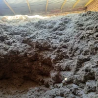 کاه گندم دیم