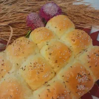 قبول سفارشات اونواع نان|خوردنی و آشامیدنی|لاهیجان, یوسف آباد|دیوار
