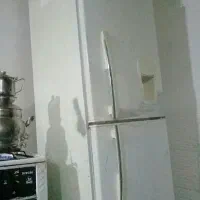 یخچال دودرب فریزر