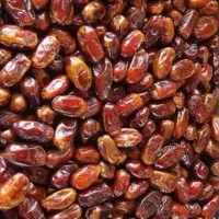 خریدار خرما