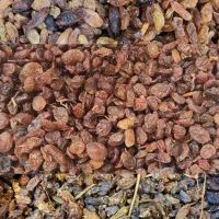 کشمش کاشمری پاک 165 و خرما  ارسال رایگان در محدوده