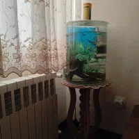 آکواریوم|ماهی|سقز, |دیوار