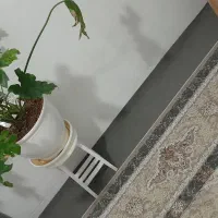 گل طبیعی|گل و گیاه طبیعی|الوند, |دیوار