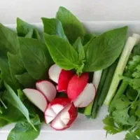 قبول سفارشات سبزی با بهترین کیفیت