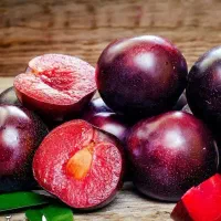 شروع پیشفروش نهال آلو آرژانتینی خونی