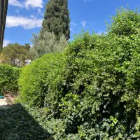 رهن-ویلایی-منازل-چوبی