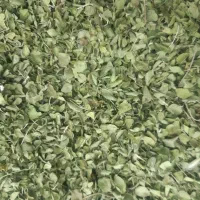 آویشن تازه جم