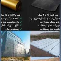 نمایندگی رسمی ایزوگام پارسیان سیرجان