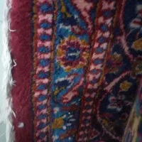 فرش دستبافت|فرش|قم, شاه ابراهیم|دیوار