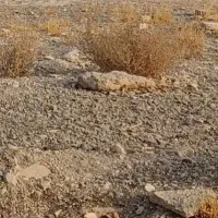 زمین-نزدیک-بافت-دو-نبش