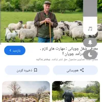 نیازمند چوپان