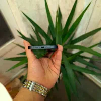 ایفون ۱۳ نرمال میدنایت قیمت کف بازار|موبایل|بندر انزلی, شاکوچه|دیوار