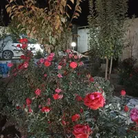 اجاره روزانه باغ سمت کبوترآباد نوساز باآب شهری|اجارهٔ کوتاه‌مدت ویلا و باغ|اصفهان, بهارستان|دیوار