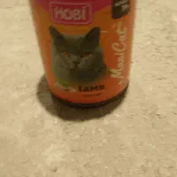 غذای گربه هوبی