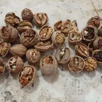 گردوی فروشی