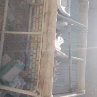 استند میوه فروشی|فروشگاه و مغازه|پیر بکران, |دیوار