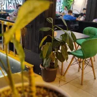 همکار خانم و آقا برای کار در کافه