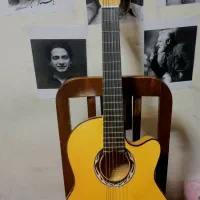 گیتار دیاموند