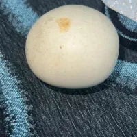 سنگ الماس آسیاب