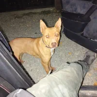 مژدگانی خوب به یابنده یا کسی که اطلاعاتی بدهد