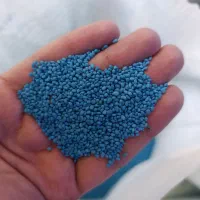 انواع برسیم درجه یک