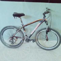 دوچرخه حرفه ای