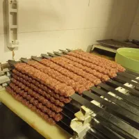 نیرو خانم کمکی کبابی