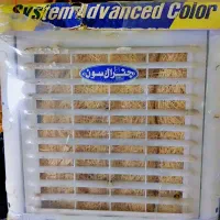 سراسیاب خیابان کاشانی