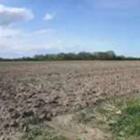 اجاره زمین کشاورزی حاصلخیز در رامشیر