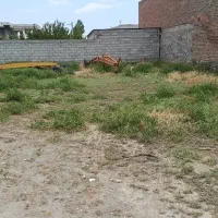 زمین به متراژ ۲۹۰ متر