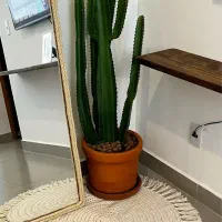 فرشینه دستبافت|فرش|مشهد, ادیب نیشابوری (شهرک غرب)|دیوار