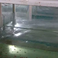 نیرو برای کارگاه پرورش ماهیان زینتی|استخدام صنعتی، فنی، مهندسی|تربت جام, پاسداران|دیوار